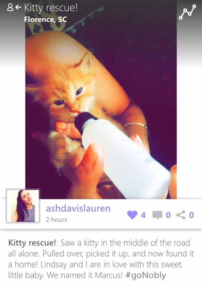 Saving lives one kitty at a time!
